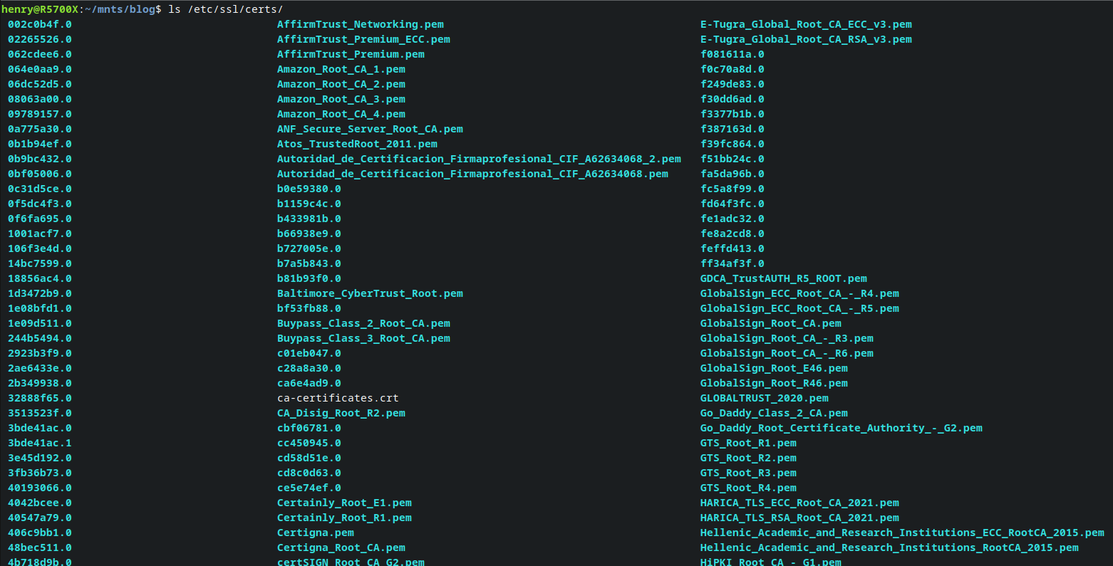 ubuntu /etc/ssl/certs contains many files